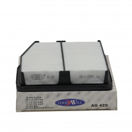 ФВ GOODWILL AG429