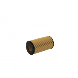 ФМ Filtron OE6493